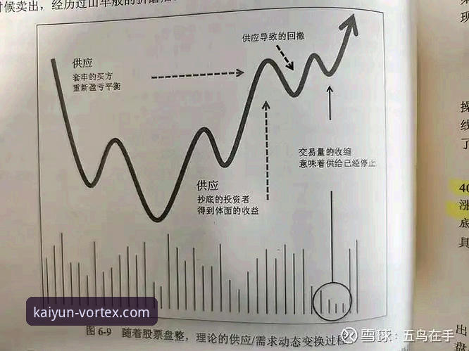开云体育直播 从帕尼切利重伤,看体育迷获取深度资讯的3个关键维度